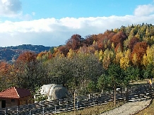 Pensiunea Lacul Zanelor - alloggio in  Valea Buzaului (163)