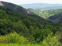 Pensiunea Lacul Zanelor - cazare Valea Buzaului (167)