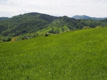 Pensiunea Lacul Zanelor - accommodation in  Buzau Valley (168)