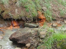 Pensiunea Lacul Zanelor - alloggio in  Valea Buzaului (171)