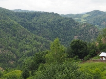 Pensiunea Lacul Zanelor - accommodation in  Buzau Valley (178)