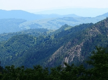 Pensiunea Lacul Zanelor - alloggio in  Valea Buzaului (186)