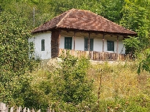 Pensiunea Lacul Zanelor - accommodation in  Buzau Valley (188)