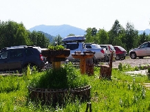 Pensiunea Lacul Zanelor - accommodation in  Buzau Valley (199)
