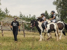 Pensiunea Lacul Zanelor - alloggio in  Valea Buzaului (252)