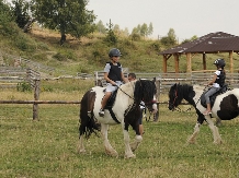 Pensiunea Lacul Zanelor - accommodation in  Buzau Valley (253)