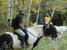 Pensiunea Lacul Zanelor - alloggio in  Valea Buzaului (256)