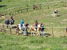 Pensiunea Lacul Zanelor - alloggio in  Valea Buzaului (263)