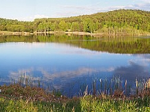 Pensiunea Lacul Zanelor - alloggio in  Valea Buzaului (269)