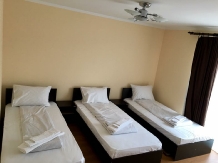 Vila Krystine - accommodation in  Hateg Country (11)