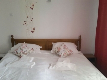 Casa Teo - accommodation in  North Oltenia (20)
