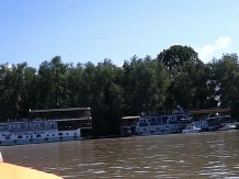 Hotel plutitor Magia Deltei - alloggio in  Delta del Danubio (03)