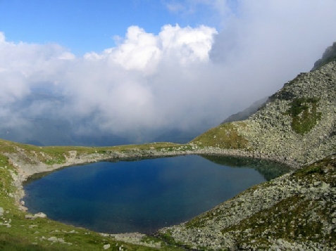 Pensiunea Gradina Mare - alloggio in  Rucar - Bran (Attivit&agrave; e i dintorni)