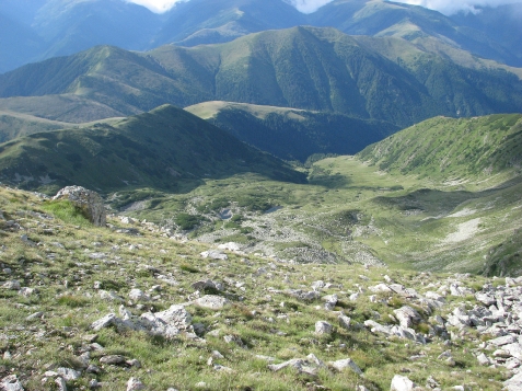 Pensiunea Gradina Mare - cazare Rucar - Bran (Activitati si imprejurimi)