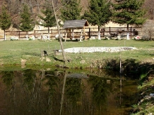 Casa Mistretilor - alloggio in  Rucar - Bran, Rasnov (04)