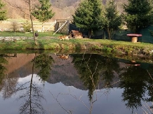 Casa Mistretilor - alloggio in  Rucar - Bran, Rasnov (08)