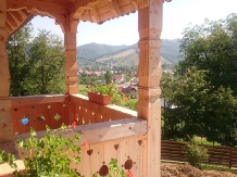 Pensiunea Agroturistica Raluca - accommodation in  Maramures Country (18)