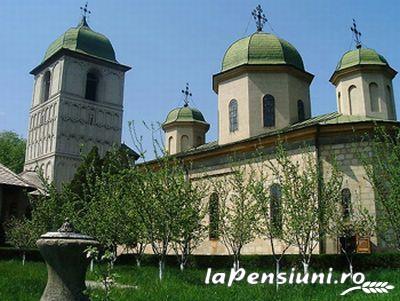 Pensiunea Nicol - accommodation in  Fagaras and nearby, Muscelului Country (Surrounding)