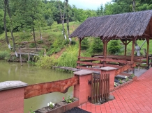 Pensiunea Balta Neagra - accommodation in  Maramures Country (14)