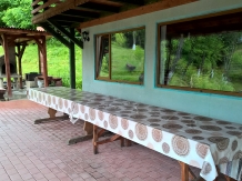 Pensiunea Balta Neagra - accommodation in  Maramures Country (16)