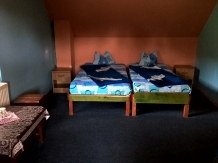 Pensiunea Balta Neagra - accommodation in  Maramures Country (20)