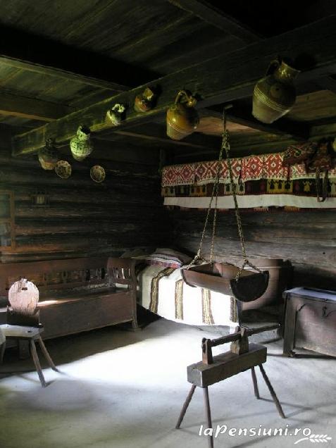 Pensiunea Balta Neagra - accommodation in  Maramures Country (Surrounding)