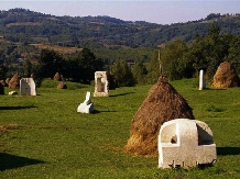 Casa Petri Rosia Montana - accommodation in  Apuseni Mountains, Motilor Country (24)