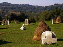 Casa Petri Rosia Montana - alloggio in  Apuseni, Tara Motilor (24)