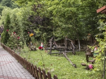 Complex Turcana - accommodation in  Sibiu Surroundings, Motilor Country, Transalpina (25)