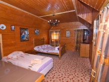 Complex Turcana - accommodation in  Sibiu Surroundings, Motilor Country, Transalpina (32)