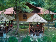 Complex Turcana - accommodation in  Sibiu Surroundings, Motilor Country, Transalpina (47)