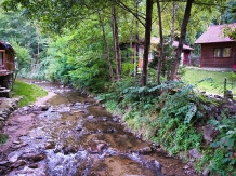 Complex Turcana - accommodation in  Sibiu Surroundings, Motilor Country, Transalpina (63)