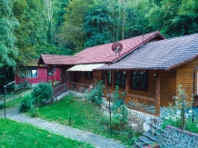 Complex Turcana - accommodation in  Sibiu Surroundings, Motilor Country, Transalpina (72)