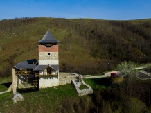 Pensiunea Iancu - accommodation in  Transylvania (03)