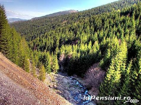 Pensiunea Aries - accommodation in  Apuseni Mountains, Motilor Country, Arieseni (Surrounding)