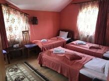 Pensiunea Beatrice - accommodation in  North Oltenia (04)