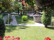 Casa de vacanta Silvia - accommodation in  Hateg Country (05)