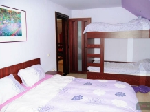 Casa de vacanta Silvia - accommodation in  Hateg Country (07)
