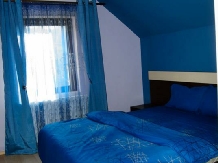 Casa de vacanta Silvia - accommodation in  Hateg Country (08)