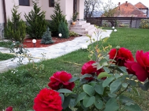 Pensiunea Iulia - cazare Oltenia (08)