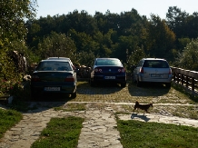 Pensiunea Iulia - accommodation in  Oltenia (13)