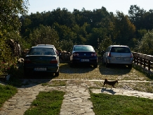 Pensiunea Iulia - cazare Oltenia (13)