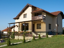 Pensiunea Iulia - accommodation in  Oltenia (21)