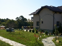 Pensiunea Iulia - accommodation in  Oltenia (28)