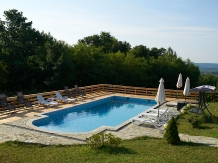 Pensiunea Iulia - accommodation in  Oltenia (37)