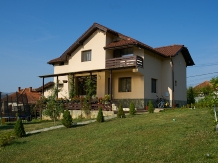 Pensiunea Iulia - accommodation in  Oltenia (41)