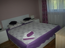 Pensiunea Iulia - accommodation in  Oltenia (83)