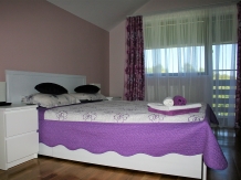 Pensiunea Iulia - accommodation in  Oltenia (84)
