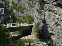 Pensiunea Iulia - cazare Oltenia (110)