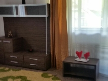 Vila Natura - cazare Rucar - Bran, Moeciu (13)